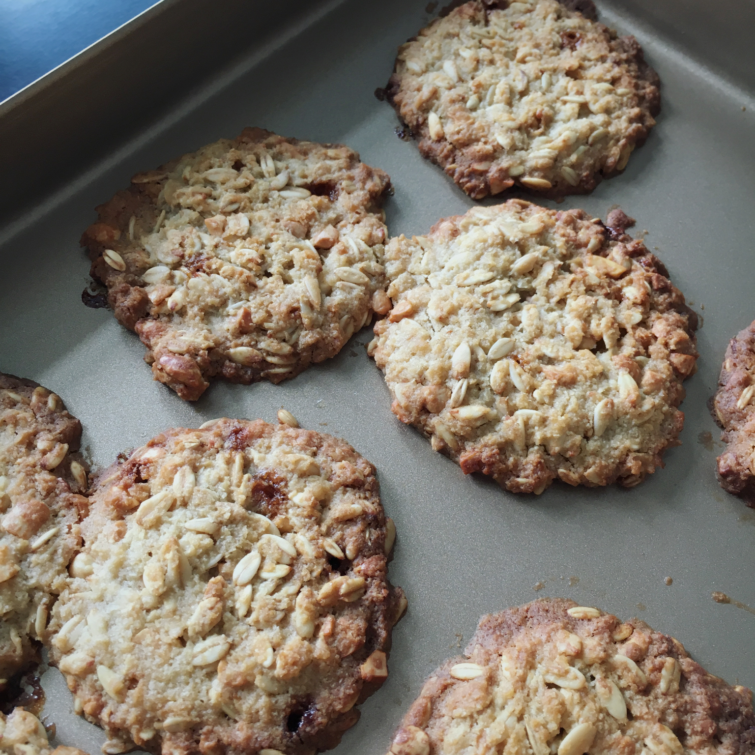 中岛老师的燕麦饼干