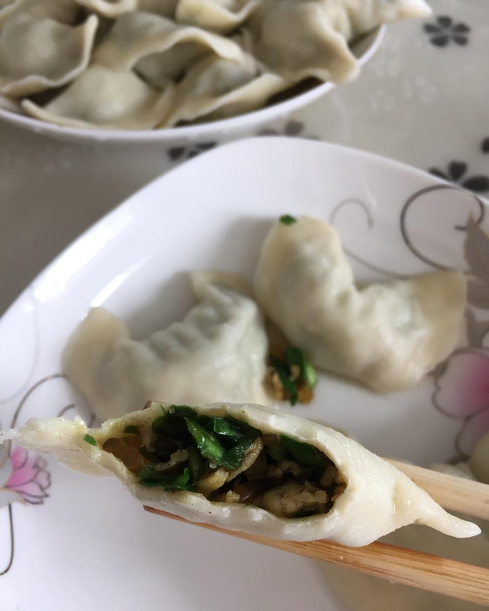韭菜鸡蛋粉条水饺