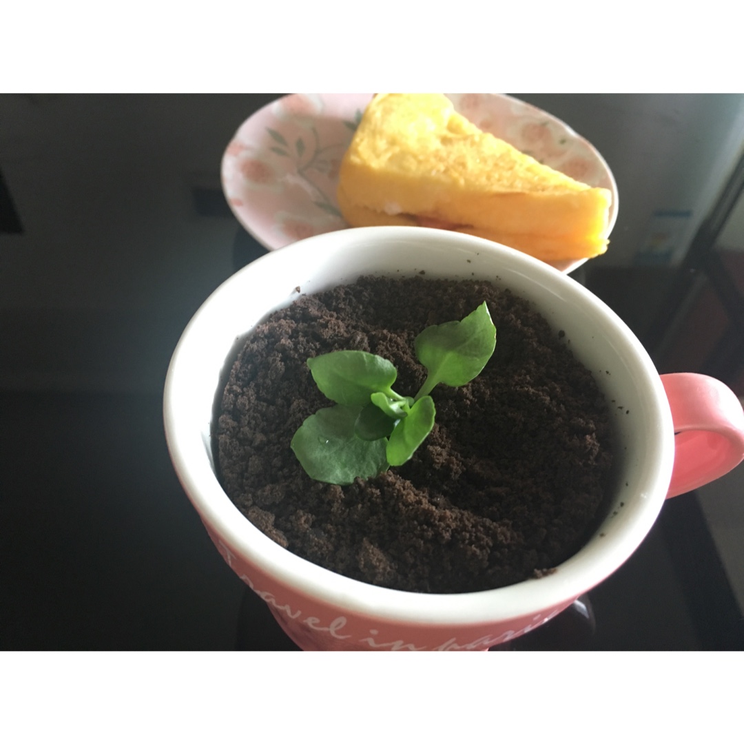 奥利奥蜜桃小甜心