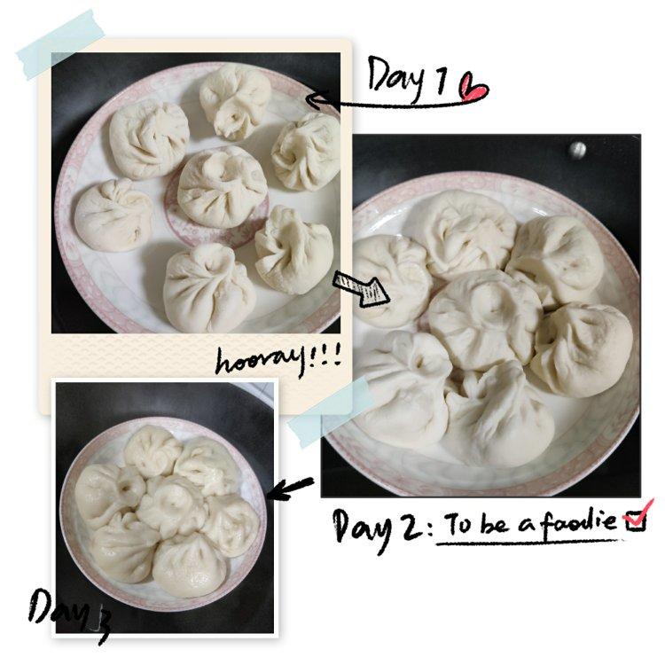 直接发酵法的白胖包子