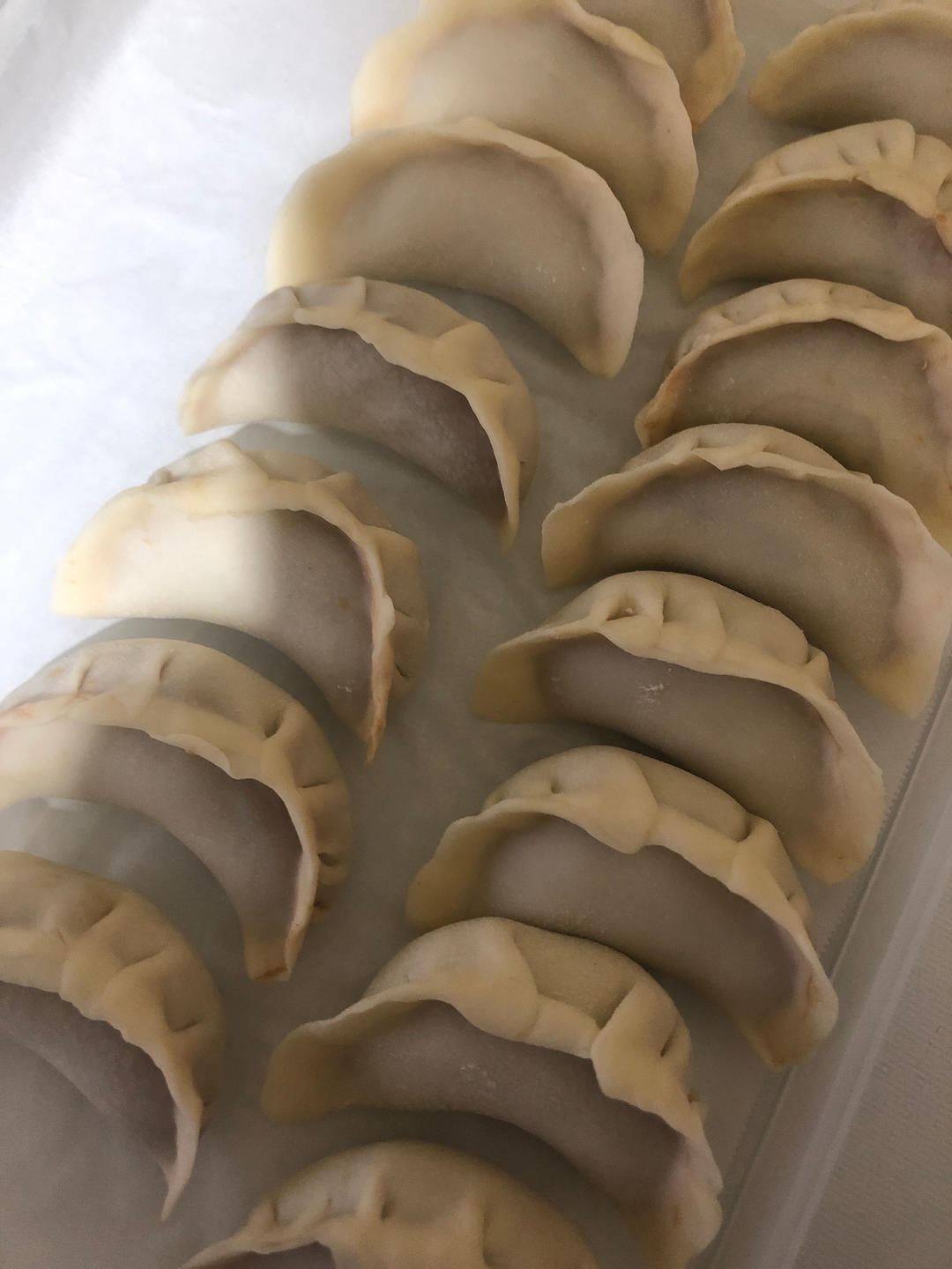 上海味道的鲜肉锅贴
