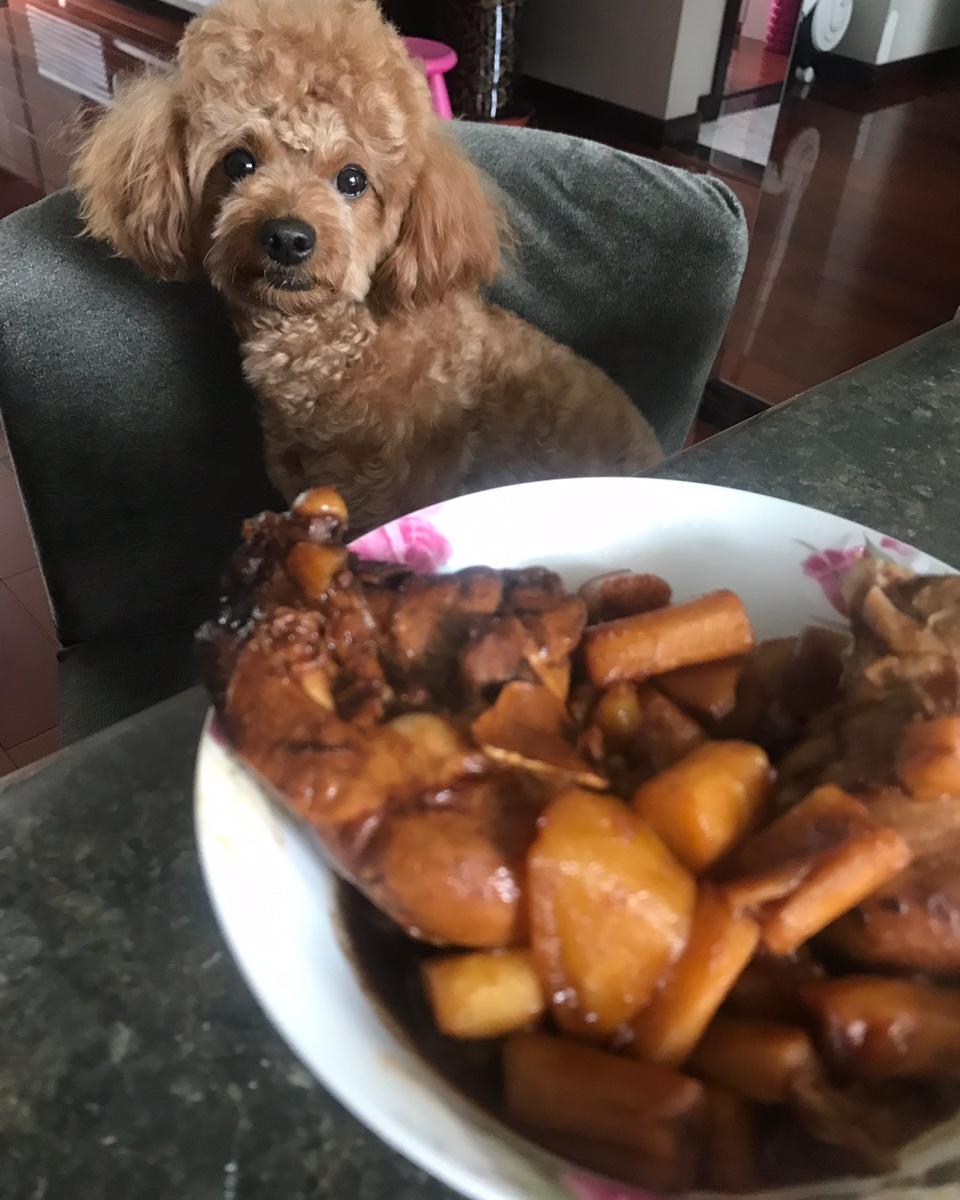 红烧鸭腿
