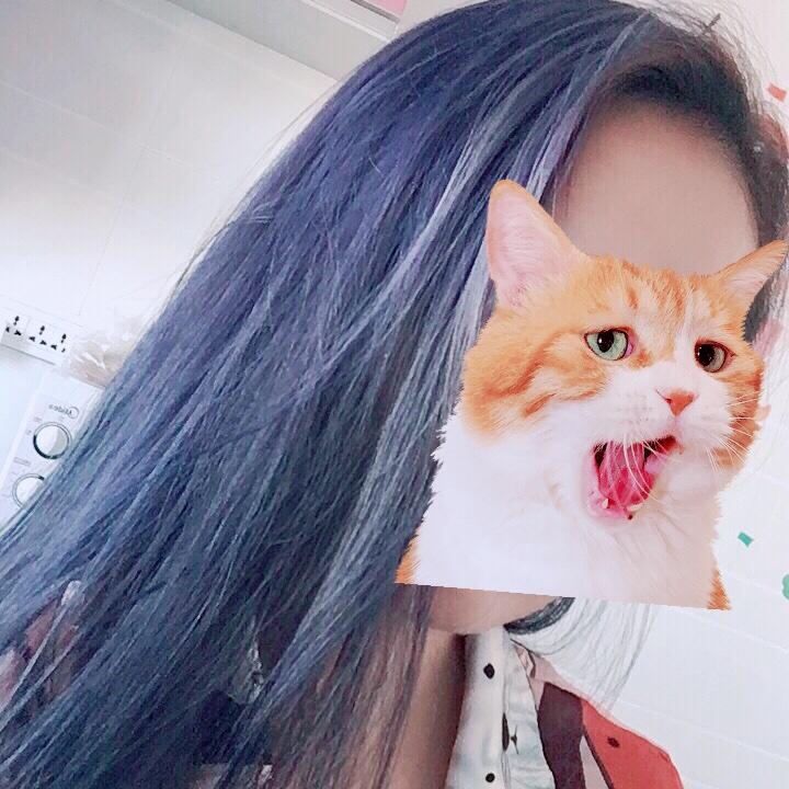 懒小厨刘