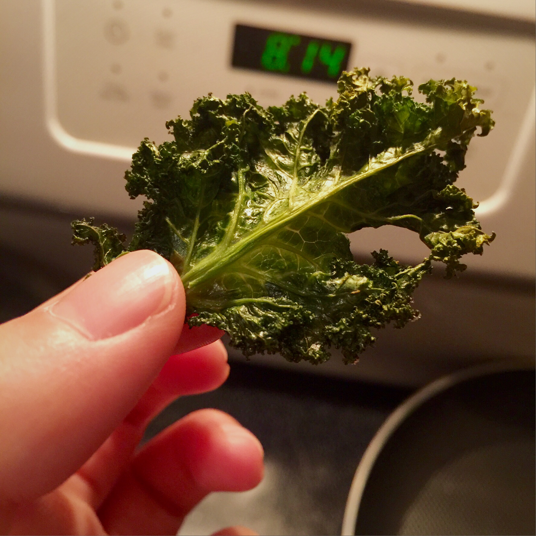 超级零食Kale chips羽衣甘蓝脆片