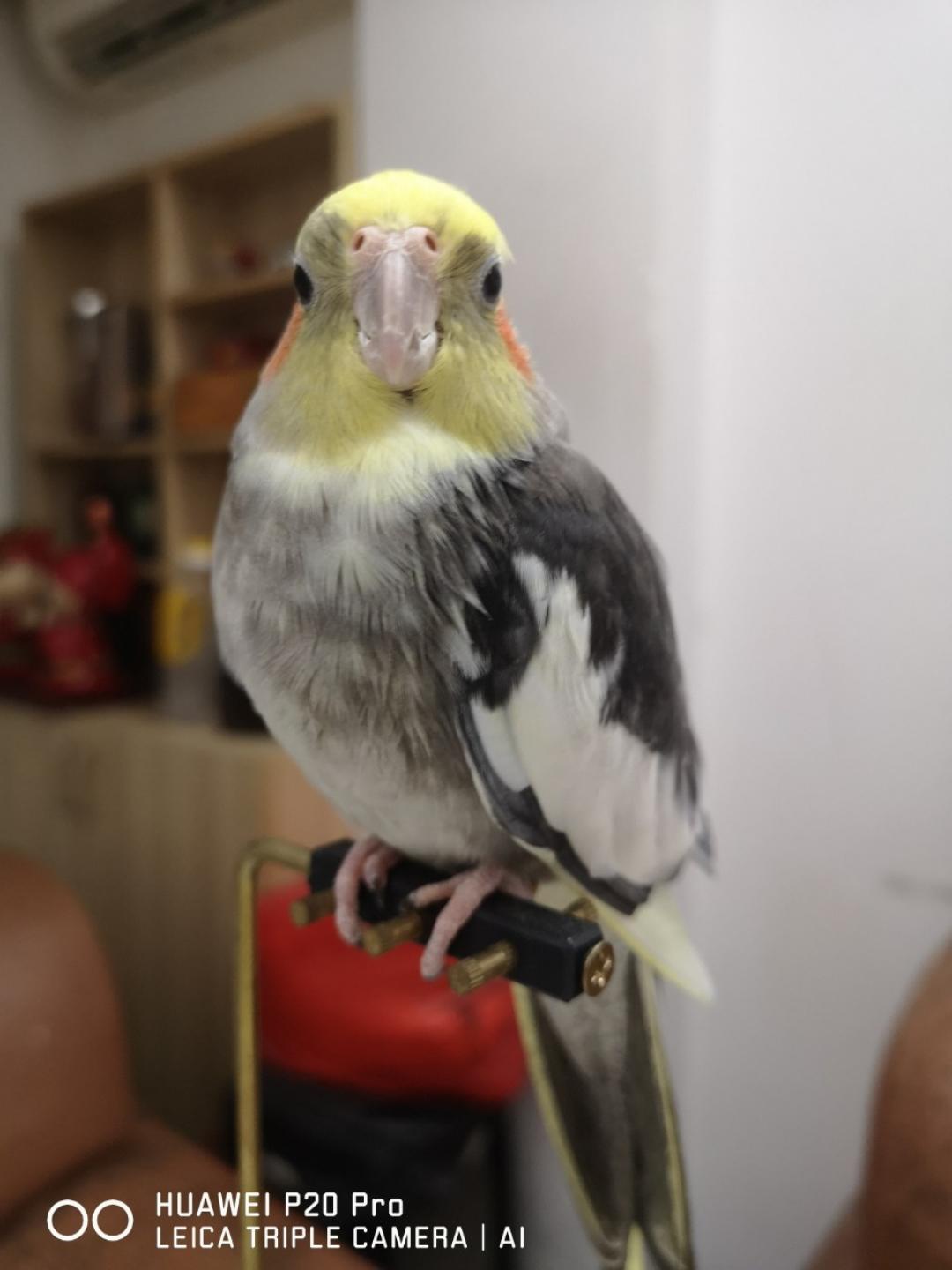 小吃货的美食坊