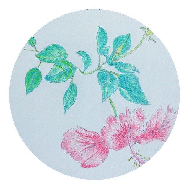 不为悦人，只为悦己