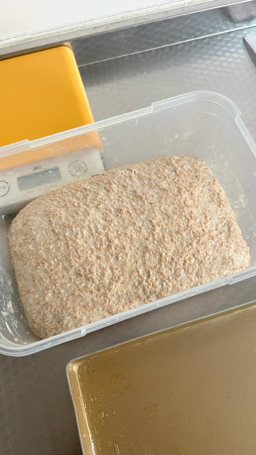 免揉｜全麦佛卡夏