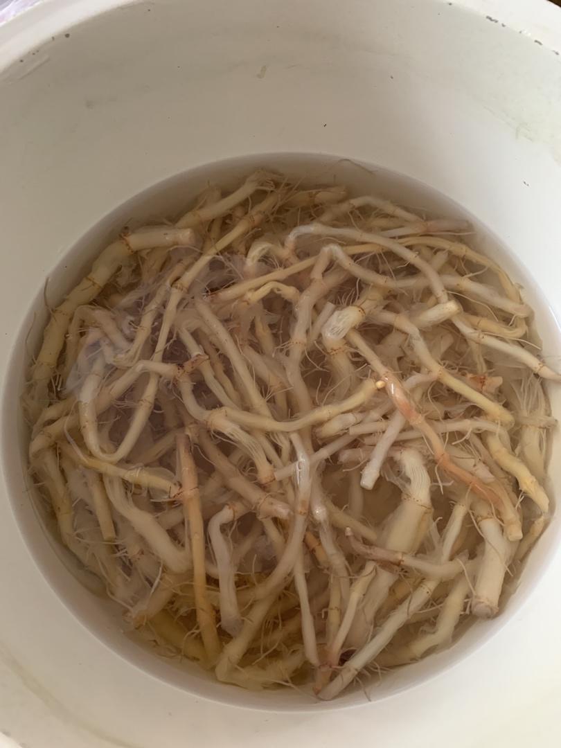 冰糖鱼腥草水