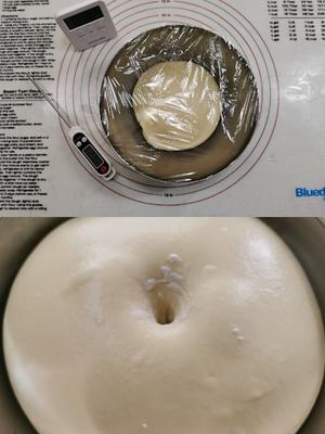 紫米牛奶餐包的做法 步骤4