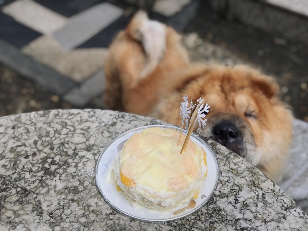 芒果千层蛋糕（8寸超软版）