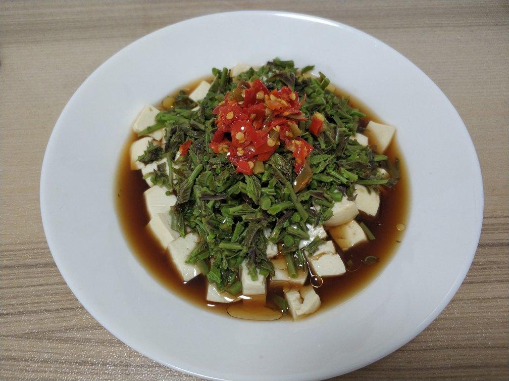 【原创】春天时令菜-香椿拌豆腐