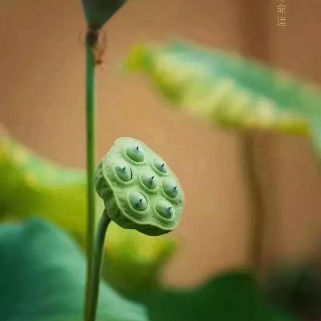 亿丁宝贝