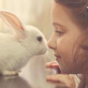 Dianna_apple
