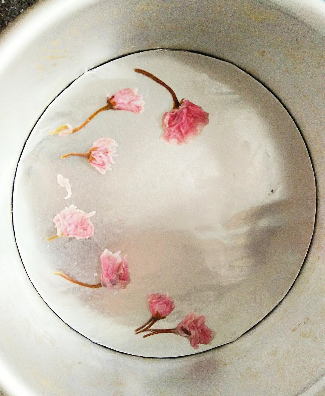 春日的少女心——淡奶油樱花戚风🌸的做法