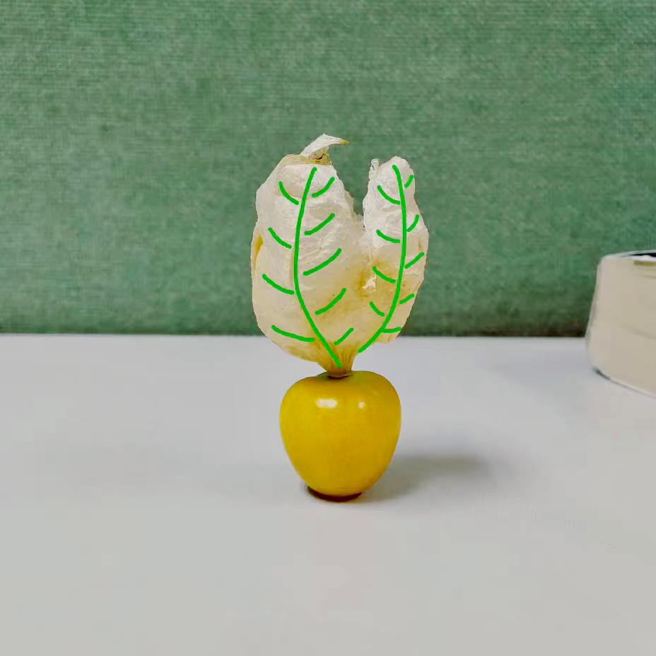 茶微凉凉白开