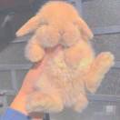 手机用户5923_wvpx