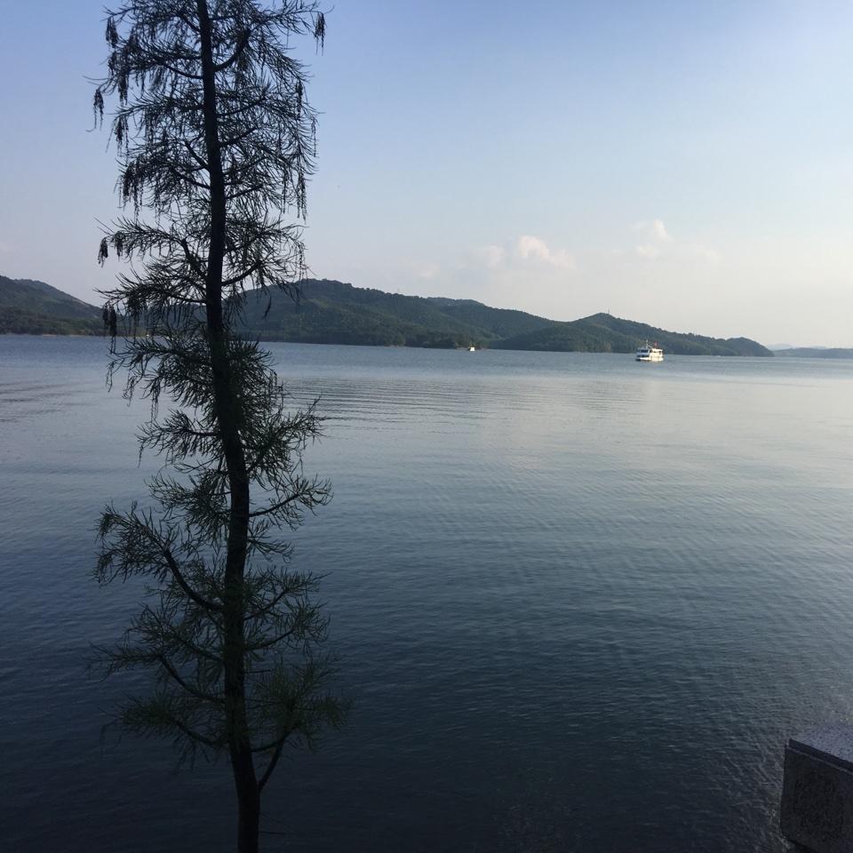 对自己说别太勇敢