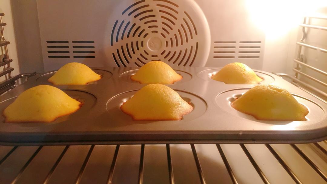 柠香玛德琳（北鼎食谱）