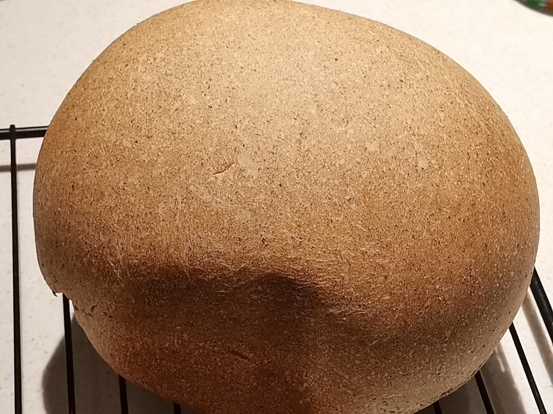 黑全麦吐司🍞