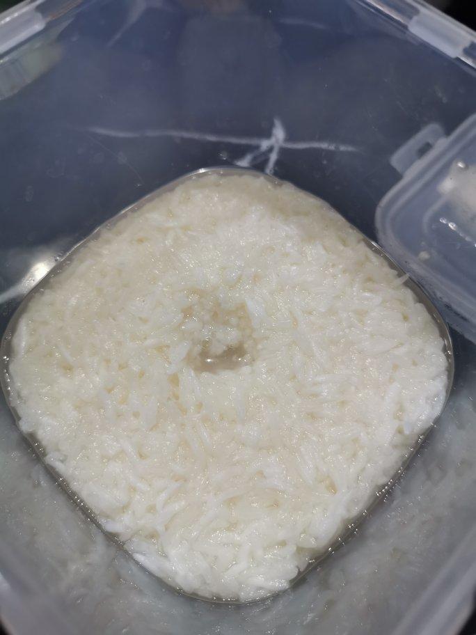 零失败糯米酒（甜酒，醪糟）