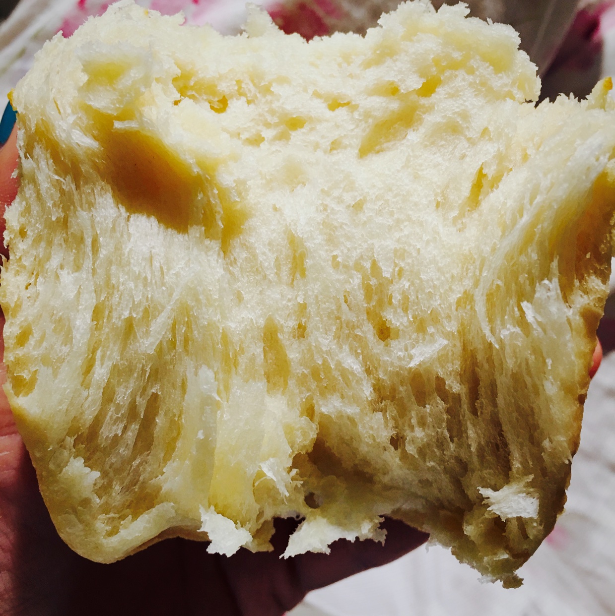 夺命软吐司(๑´ڡ`๑)超软拉丝极速方便的一次发酵吐司