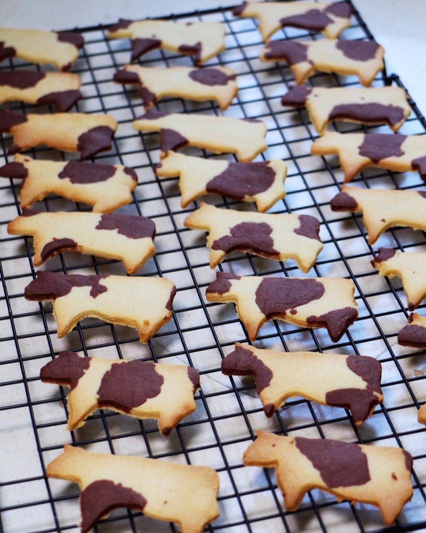 回回417做的炼乳奶牛饼干