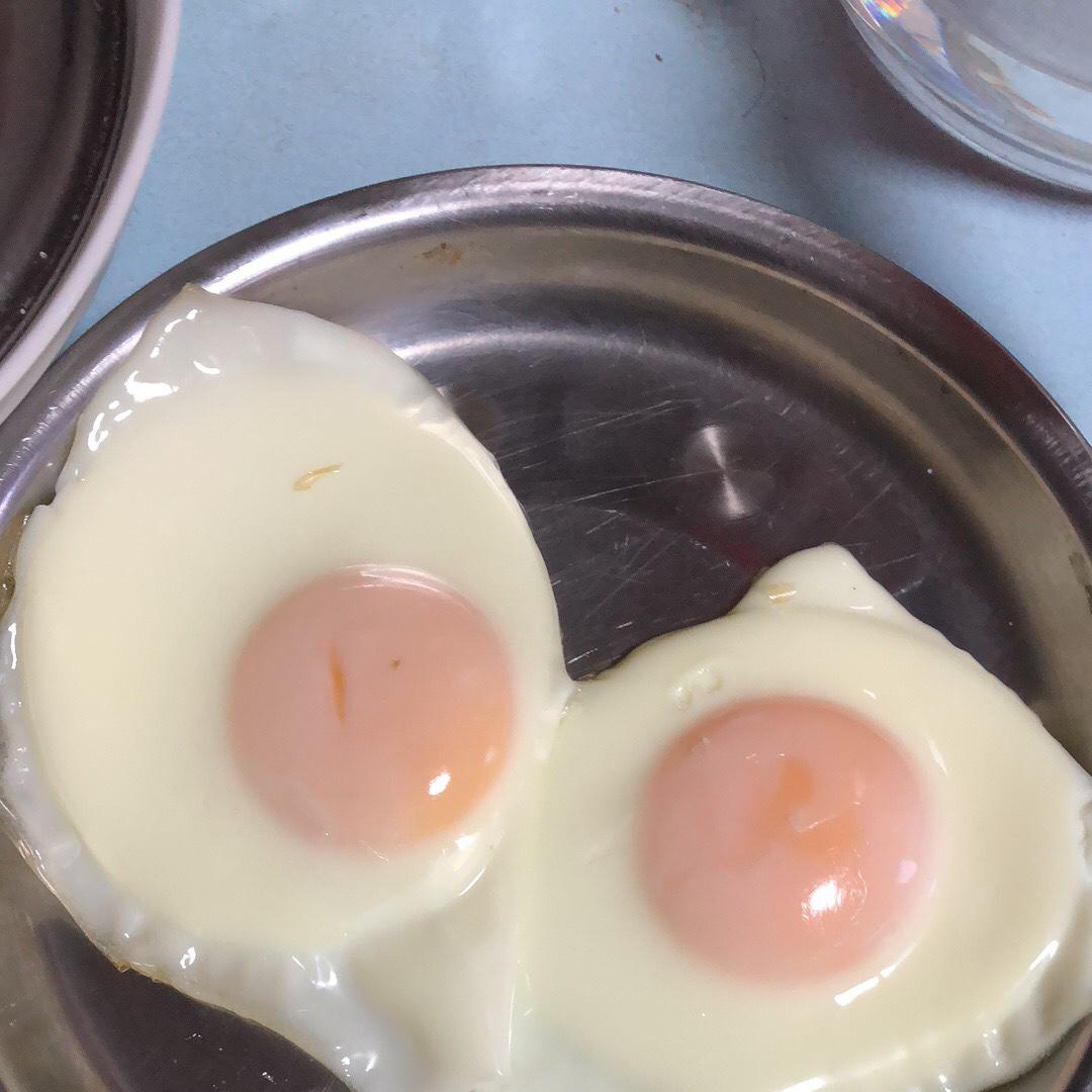 猫咪轰轰