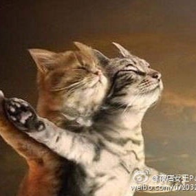 ly雅雅