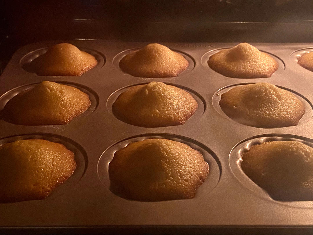 玛德琳（蓝带方）