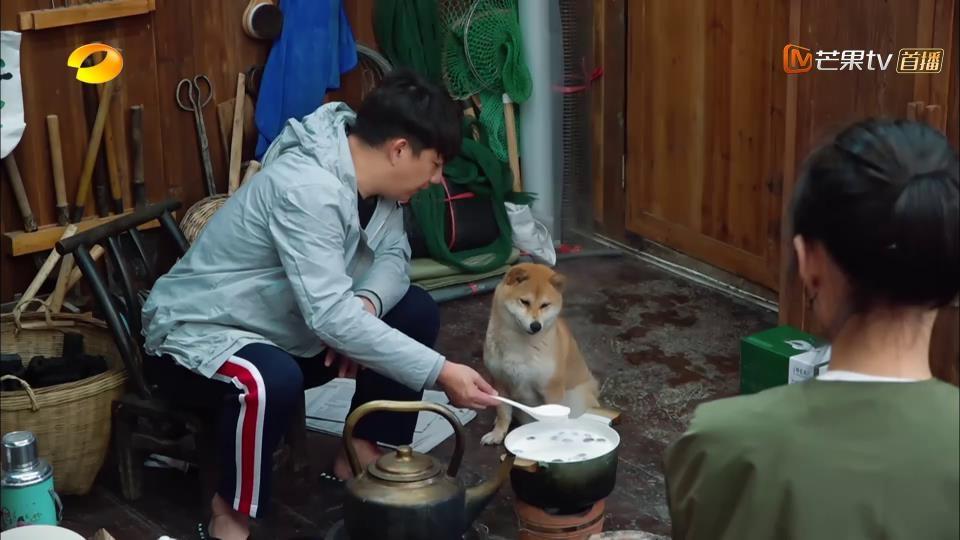 《向往的生活》红枣牛奶粥