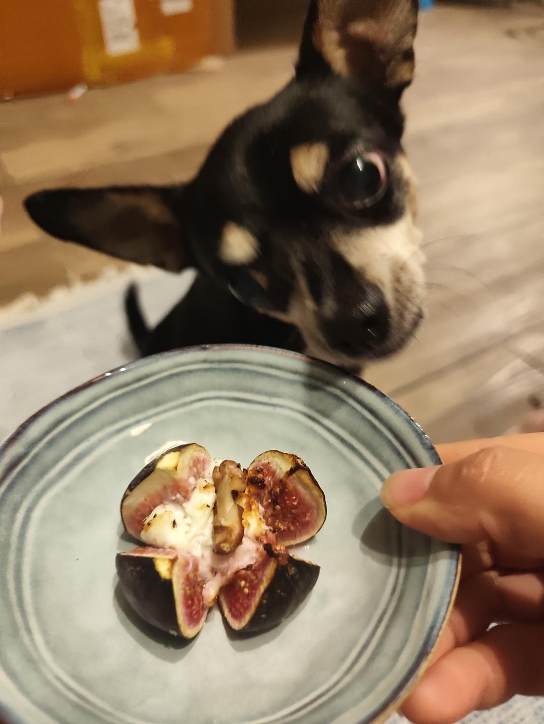 狗狗和人都爱吃的小点心 - 烤无花果山羊奶酪和核桃