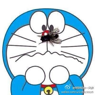 包包宝