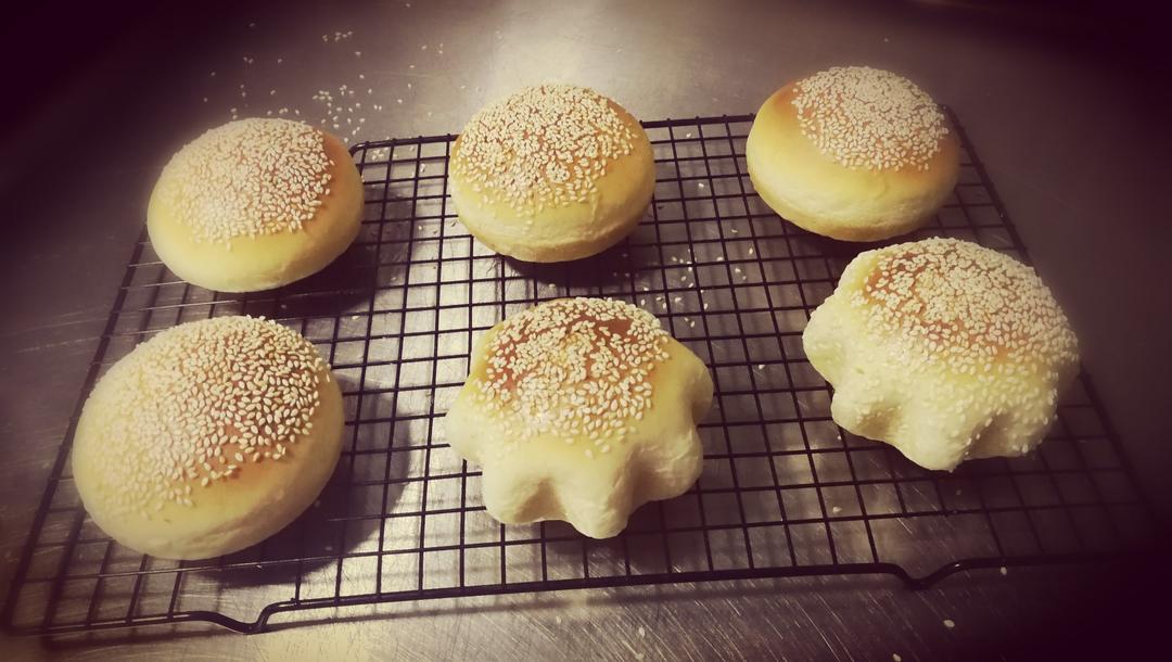 汉堡胚 poolish（波兰种）