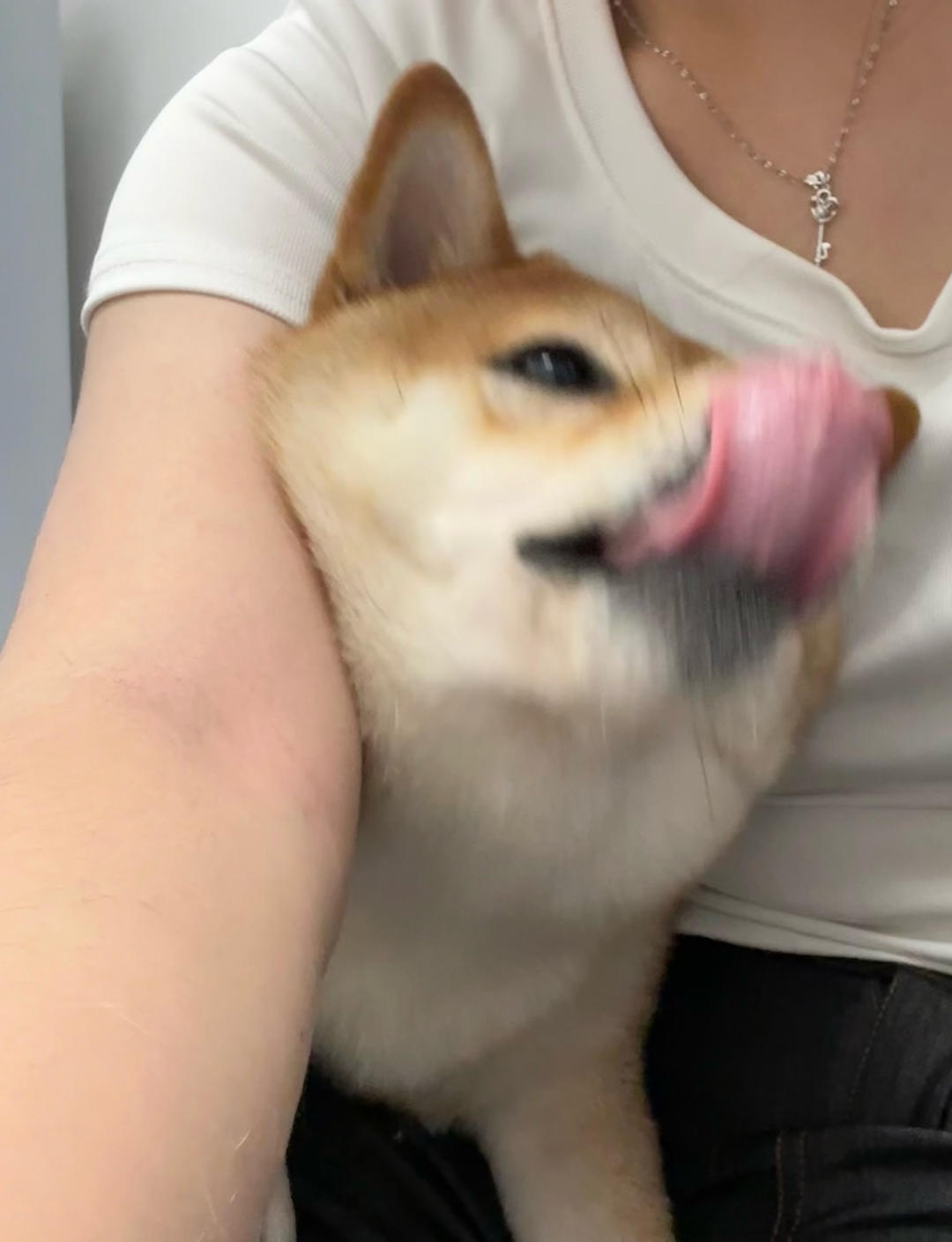 窿窿窿
