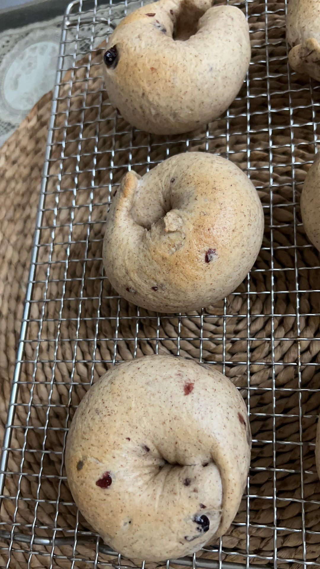 全麦蔓越莓奶酪贝果