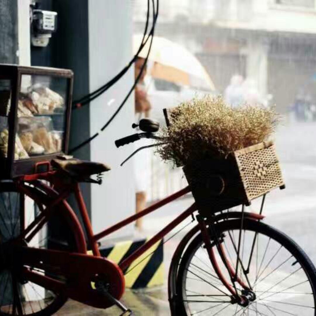 念泽曦