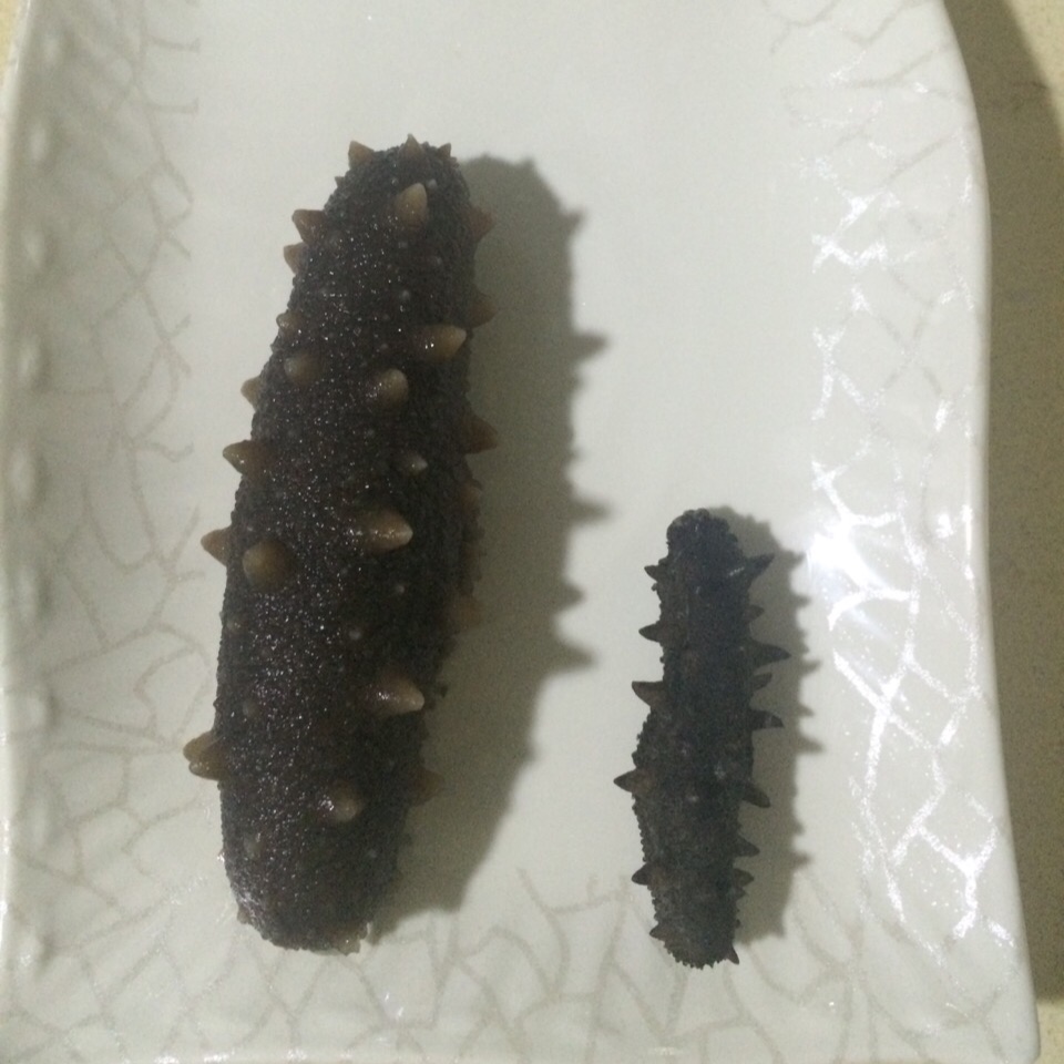 海参泡发攻略