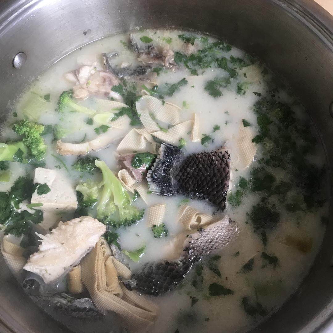 清炖黑乌鲤