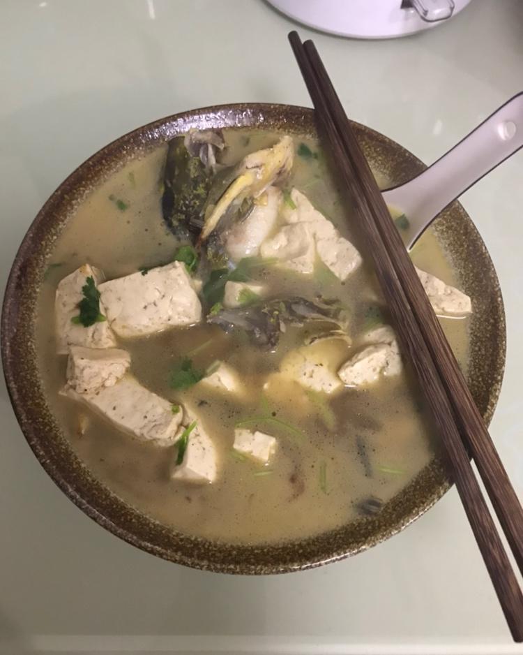 昂刺鱼豆腐汤