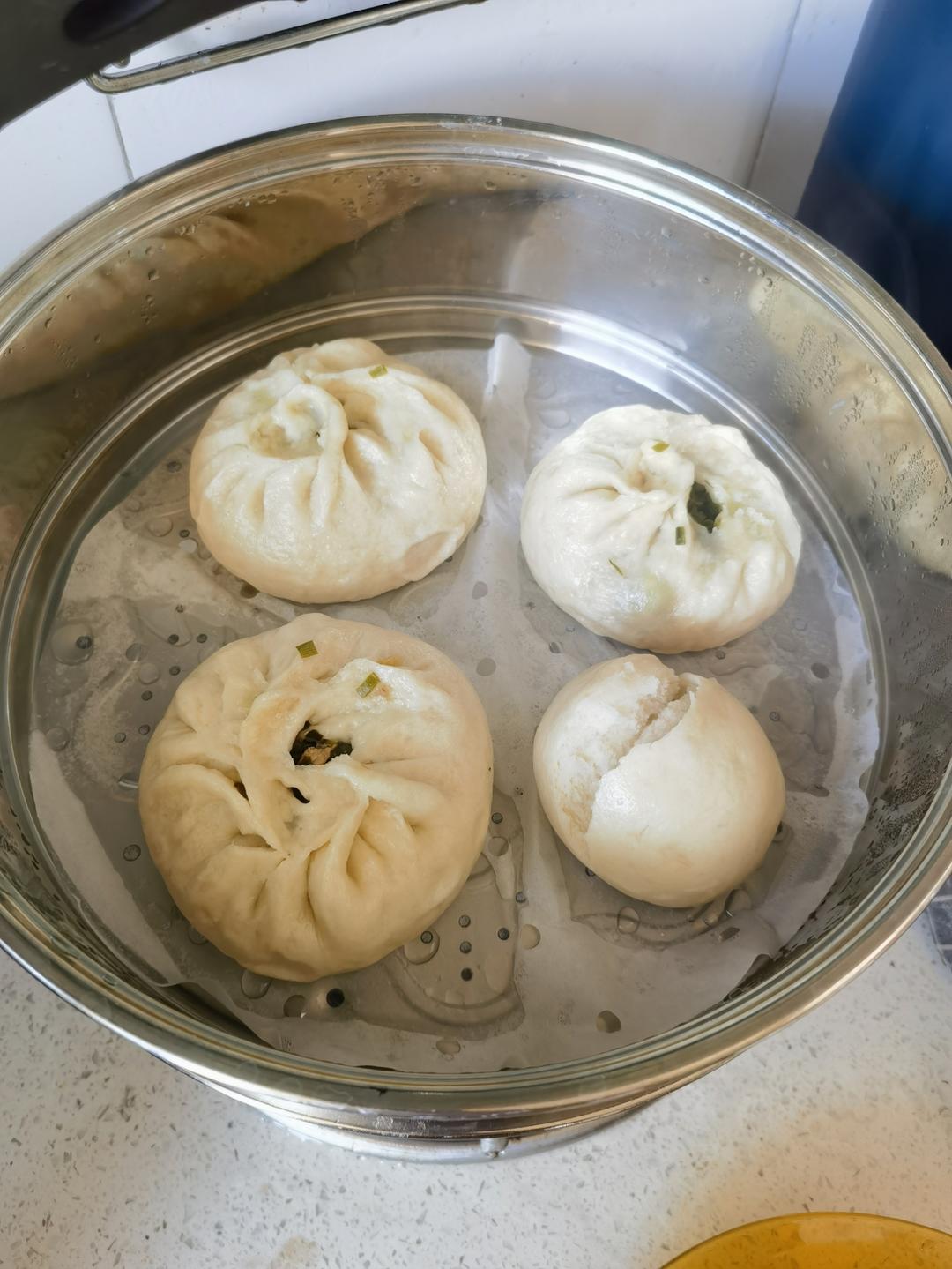 酱肉茴香苗包子