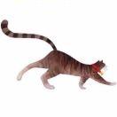 爱吃零食会长胖