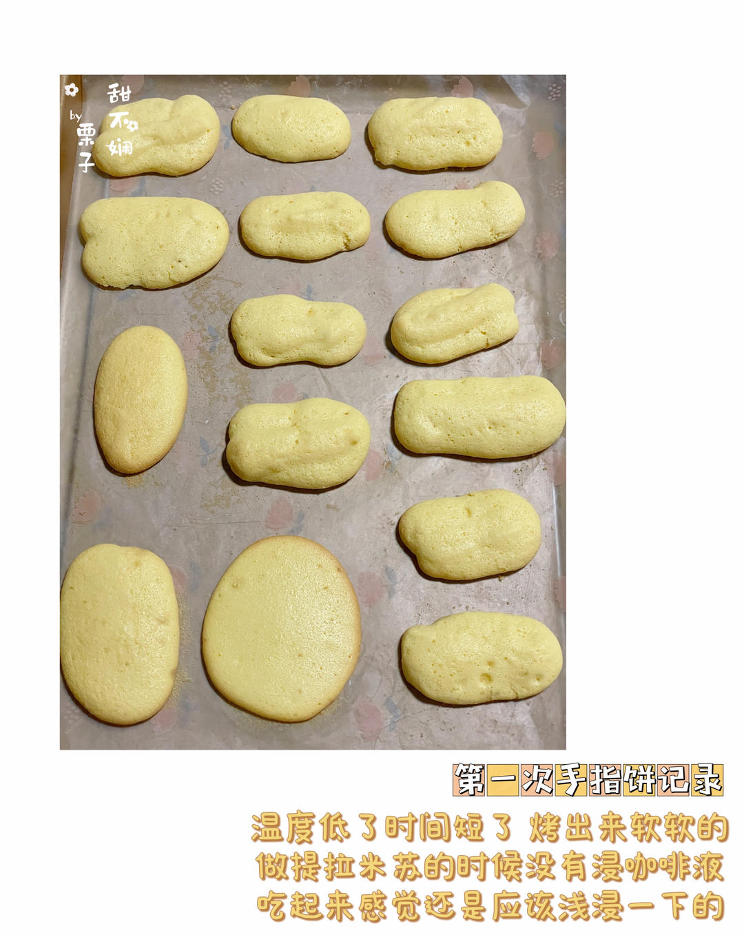 手指饼干-提拉米苏