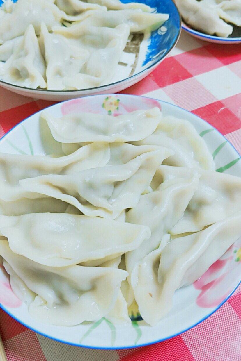 白萝卜牛肉水饺