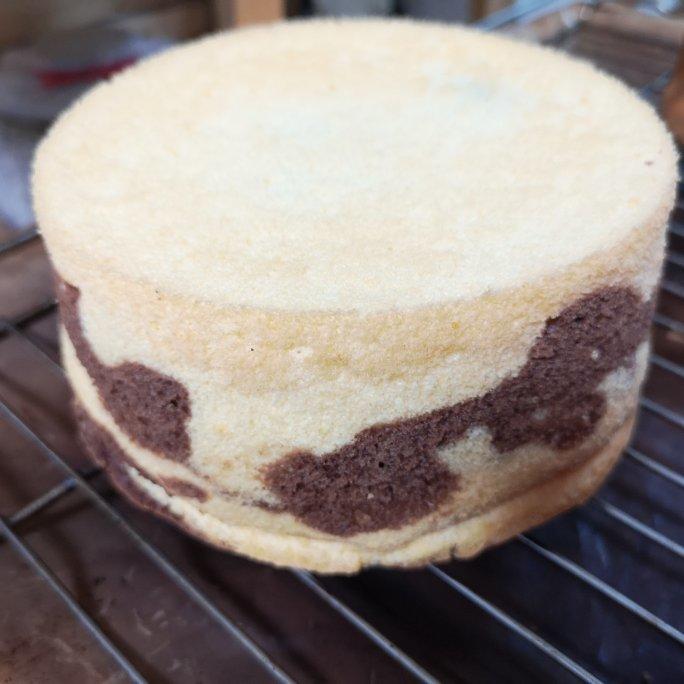 绿斑马戚风蛋糕