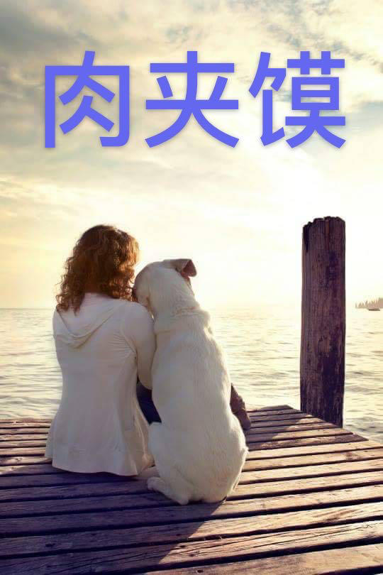 肉夹馍（肉+馍的做法）