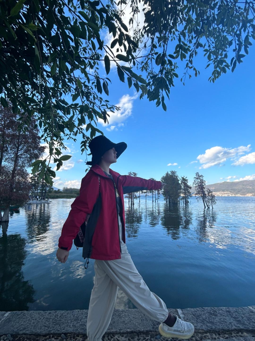 柒柒的糊弄文学