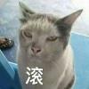 暮木木木