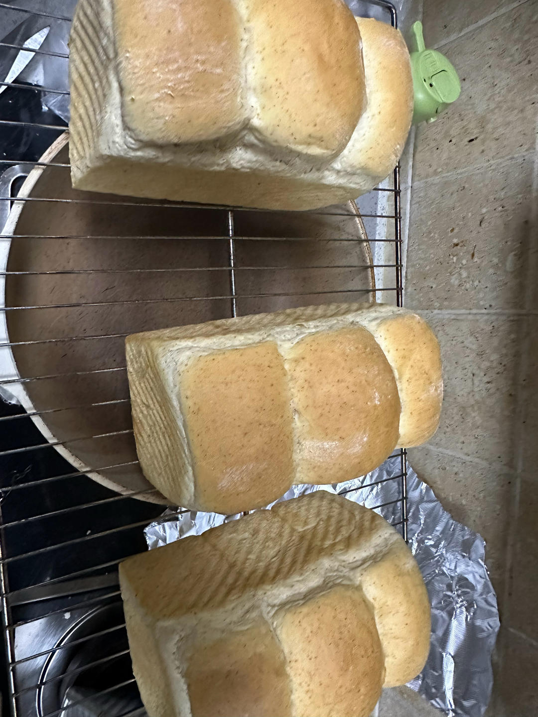 全麦吐司（70%冷藏中种法）