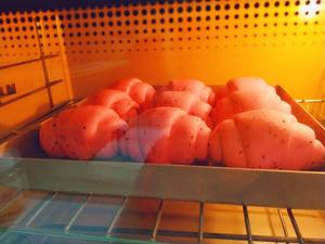 火龙果鲜酿酵素渣餐包的做法 步骤8