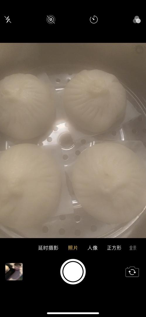 节省一半时间的大包子（另付翠绿菜包子，肉包子，腹黑包子食谱）